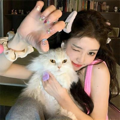 黑猫警长之翡翠之星